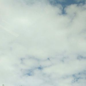 Meet your Posher, Halohaa